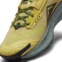 Nike Pegasus Trail 3 GTX Runningschuhe Herren - DC8793-300